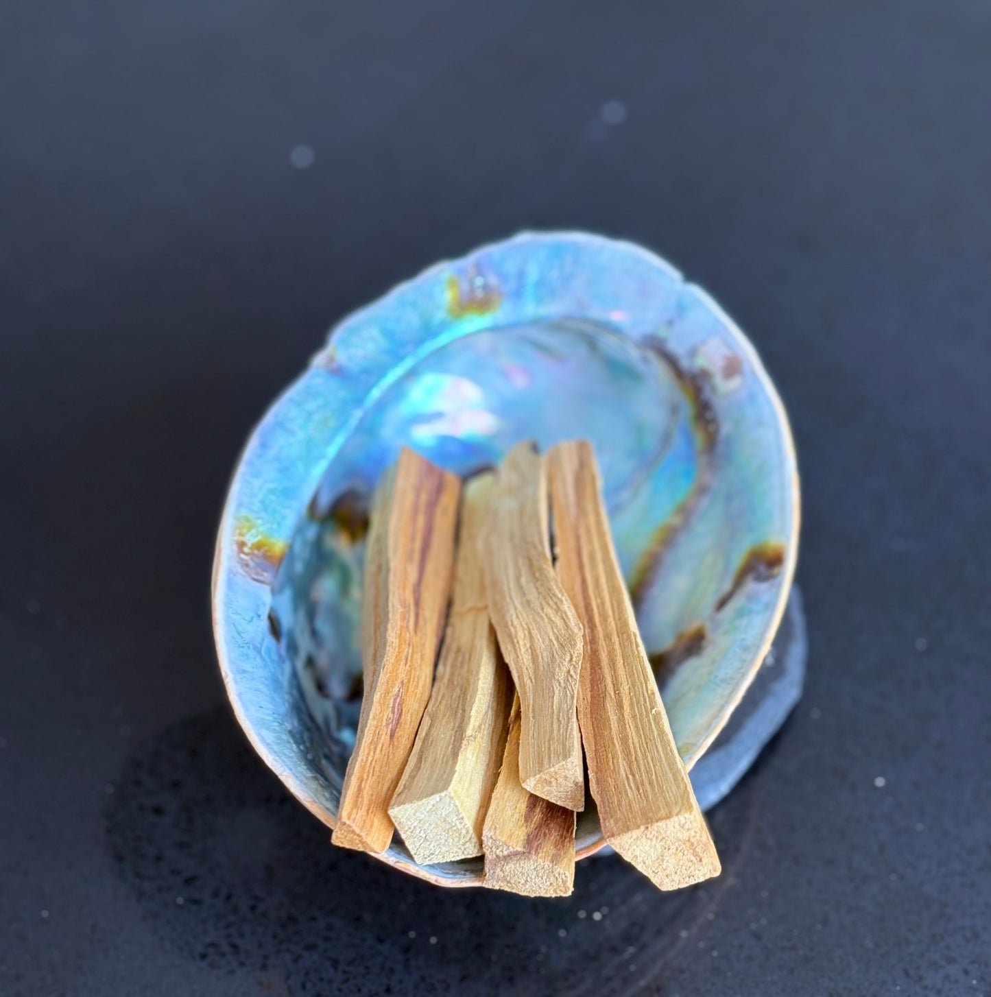 Palo Santo x5 pieces of Holy Wood ( Paua shell not included)